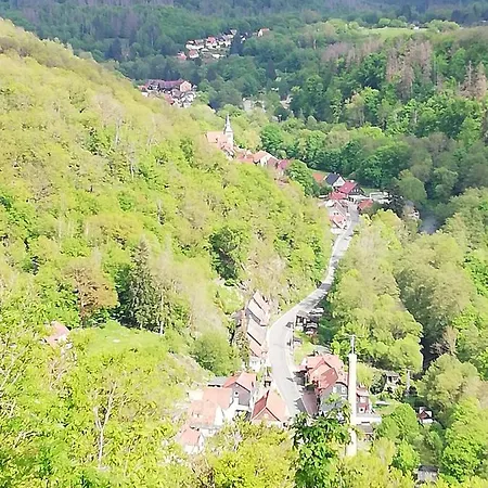Ferienwohnung Alte Forsterei Altenbrak Exterior foto