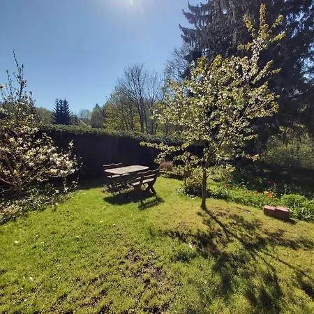 Ferienwohnung Alte Forsterei Altenbrak Exterior foto