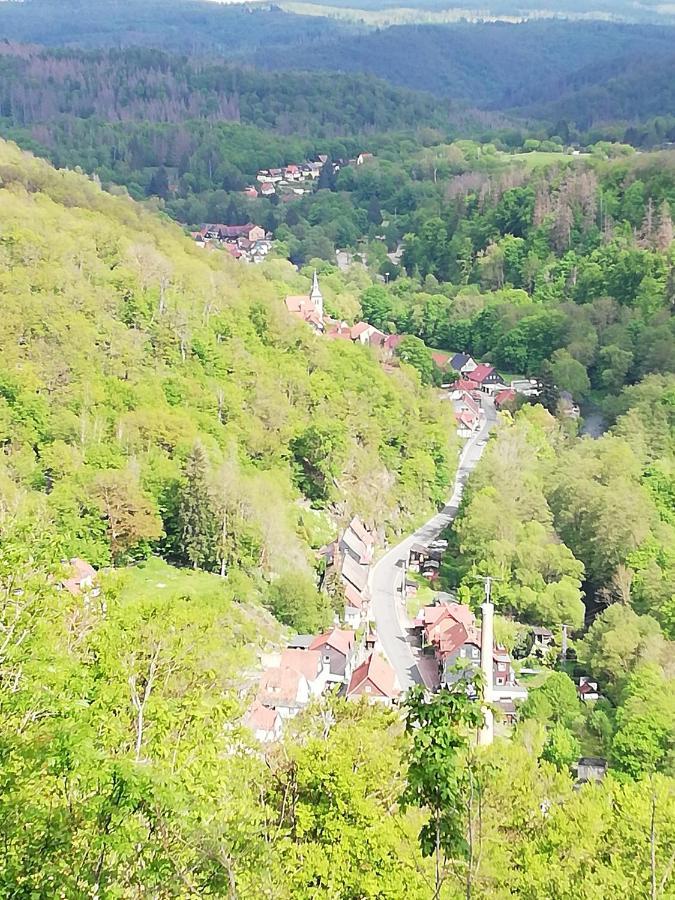 Alte Forsterei *